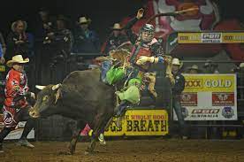 Bull riding at Broadmeadow's Brendon Clark Invitational 2014 | PHOTOS |  Mandurah Mail | Mandurah, WA