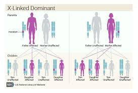 Inheritance Of An X Linked Dominant Disorder Depends On Which Parent Is Affected Nursing Notes Androgen Insensitivity Syndrome Genetics