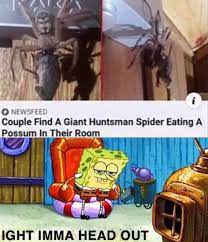 We did not find results for: Ight Imma Burn The House Down Memes