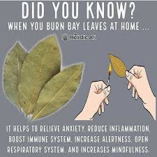 Pin By Bethany Ogden On Good To Know Information In 2020 Natural Health Remedies Health Remedies Health Tips