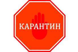 А что остается делать в ситуации, когда мы сидим дома и не знаем, когда это все закончится? Cpisok Stran Posle Kotoryh Nuzhen Karantin Centour Ru