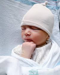 Graham Kent Kaniela Fonseca