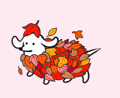 Hi, i created a mini gif with just text and i want to export it with a transparent background. Animated Gif In Emails 15 Awesome Autumn Ideas To Use