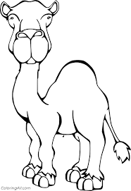 1455x2000 cute zoo animal coloring pages zoo coloring pages. Realistic Funny Camel Coloring Page Coloringall