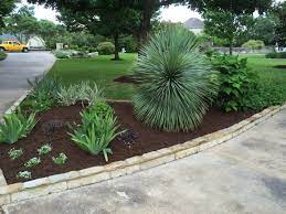The genus is native to asia and the americas, with most species occurring in mountain woodlands. Japanese Aralia Archives Diana S Designs Austin