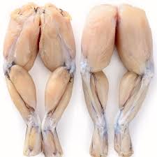 E firestone place south gate, ca usa for escalations also. Frog Legs Price Buy Frog Legs Frog Legs Online Jumbo Frog Legs Where Can I Buy