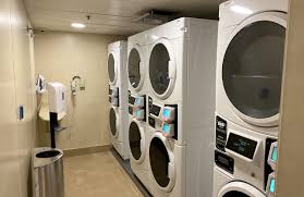 How To Sneak A Steamer On A Cruise - Travels With Casey