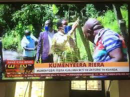 Constructing a garden is not enough but it is also necessary to decorate your garden. Pacja On Twitter On Going Bamboo Tree Planting On Werutv Reasons Why It Is Useful To Grow Bamboo A Fast Growing Plant That Provides Many Benefits In The Home Garden And Beyond Particularly With