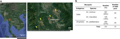 Due to the fact that a sdn bhd company is a limited liability entity, the owners' liabilities do not extend beyond those of any other shareholders. Molecular Identification Of Native Wolbachia Pipientis In Anopheles Minimus In A Low Malaria Transmission Area Of Umphang Valley Along The Thailand Myanmar Border Springerlink