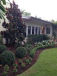 Known for experience and integrity, laura llerena & associates has offered reputable lawn and landscape services in miami since 2010. Landscaping Services In Miami Design Architecture Organic Lawn Care In Miami Miami Lakes Palm Beach And West Palm Beach Broward County Landscape Contractor