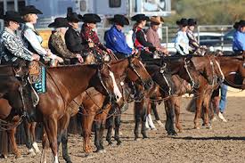 2015 Arizona Sun Circuit Starts Show Season Strong With 15,200 AQHA Entries 