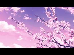 Cherry blossoms in anime hold various meanings and have become prevalent in japanese animation. A N I M Ea E S T H E T I C Cherry Blossoms Aesthetic Music Anime Montage Youtube