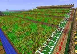 Green dye can be found in a desert village house chest. Farming Minecraft Xbox 360 Edition Wiki Fandom