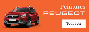 Image result for Rouge Erythree 2011 Citroen