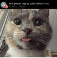Unlocked phones work with any network compatible with their design. A This Person Tried To Unlock Your Phone 20160723 1551 Esta Persona Intento Desbloquear Tu Movil Cabroworld Phone Meme On Me Me