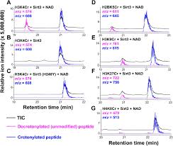 $15 (excl gst) | find your lecky's store; Identification Of Erasers For Lysine Crotonylated Histone Marks Using A Chemical Proteomics Approach Elife