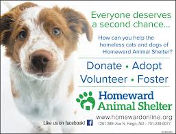 Register for paw prints, our online art auction: Saturday December 15 2018 Ad Homeward Animal Shelter The Forum