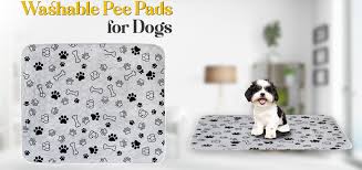Little Liner Gray Washable Pee Pads for Dogs (65″x48″) – LittleLiner