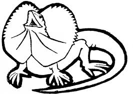Projects Design Reptile Coloring Pages Lizard Free Printable Super Coloring Pages Detailed Coloring Pages Coloring Pages