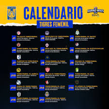 Tigres femenil, san nicolás de los garza. Tigres Uanl Femenil Calendario Guard1anes 2020 Garra Tigre