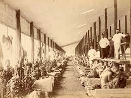 Memperkenalkan sistem pentadbiran ketenteraan di melaka. Kisah Perbudakan Rasis Di Perkebunan Medan Pada Era Penjajahan Belanda Semua Halaman National Geographic