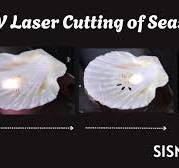 Laser Engraving Cutting Shells Like a Pro | UV Laser engraving cutting  machine