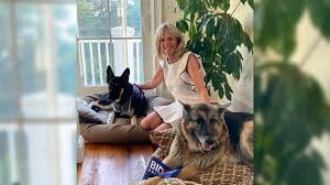 Champ and major are out of the doghouse and back in the white house. Champ And Major Biden Meet The Future First Dogs