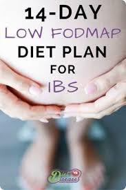 Pin On Sibo Diet