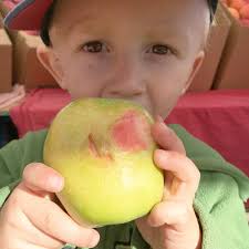 Val's Veggies (@vals_veggies) • Instagram photos and videos