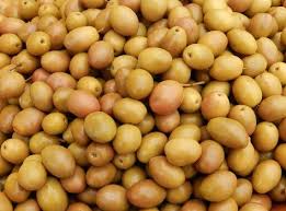 Olive In Salamoia Ricette Di Sardegna Ricetta Ricette Olive Sardegna