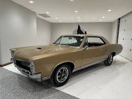 Image result for Cameo Ivory 1967 GTO