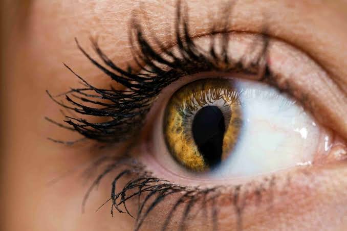 Why Some People Have Cat Eyes and What It Means for Vision
