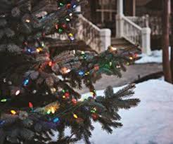 Singing christmas carolers, create your own snowfall and more. Christmas Decorations Rona