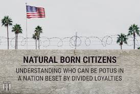 Every law that congress makes granting citizenship is a naturalization law. Natural Born Citizens Understanding Who Can Be Potus In A Nation Beset By Divided Loyalties