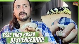 CHECK-UP COMPLETO NO SERPENTÁRIO ANTES DE VIAJAR!