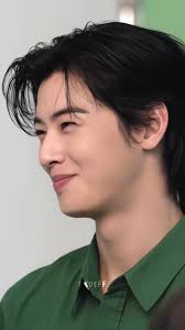 🌸 “Cha Eun-woo, cada día que pase será una página menos para volver a...