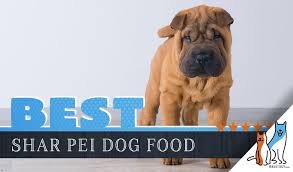 9 Best Dog Foods For Shar Peis Plus Top Brands For Puppies