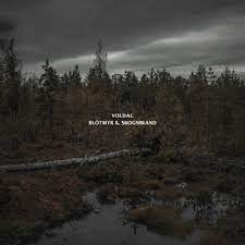 Skogsbrand by svältvinter, released 13 july 2018 närd av snö och frost ilskan är total vik hädan för vår blåst slakten är global sjung, sjung för döden i natt blir du fri sjung, sjung för döden i natt blir du fri skogsbrand skogsbrand flammorna sig torna över stadens vagga ingen mänska skonad på svedjad mark vi dansa skogsbrand skogsbrand Voldac Blotmyr Skogsbrand By ð•ðŽð‹ðƒð€ð‚