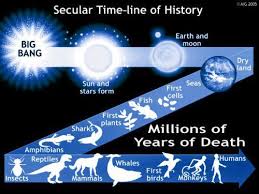 Pin On Answers In Genesis Creation