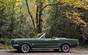 Image result for Ivy Green 1966 Mustang