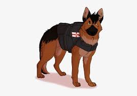 Modrrn dog training, board & train, online dog training & store. Ace The Police Dog Old German Shepherd Dog Transparent Png 518x505 Free Download On Nicepng