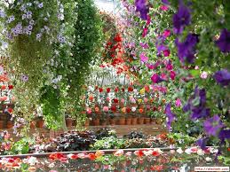 Velg blant mange lignende scener. Trololo Blogg Keukenhof Gardens Wallpaper Beautiful Flowers Garden Flower Garden Pictures Flower Garden