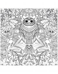 Jedes ausmalbild vom schmetterling gibt es kostenlos als pdf und zum ausdrucken. Mandala Eule Malbuch Fur Erwachsene