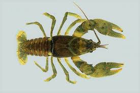 Environmental Monitor