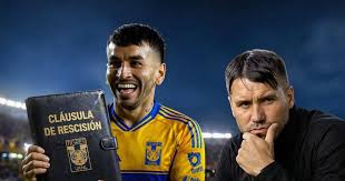 Angel Correa