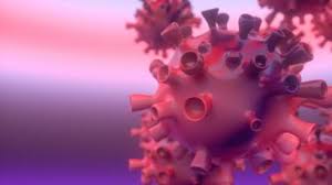 Coronavírus: Por que a pandemia atual pode durar meses ou anos ...