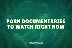 15 Best Porn Documentaries To Watch Right Now | Vicetemple