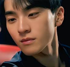 Meta Ai experience with Yoo Joonghyuk and kdj