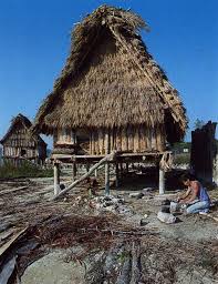 Les Palafittes Temoins De La Vie Quotidienne Archeologie La Vie Quotidienne Histoire