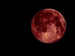 Gibi sorularınıza cevaben bu yazıyı yazıyorum. Cilek Ay Pembe Ay Youtube Cilek Pembe Youtube